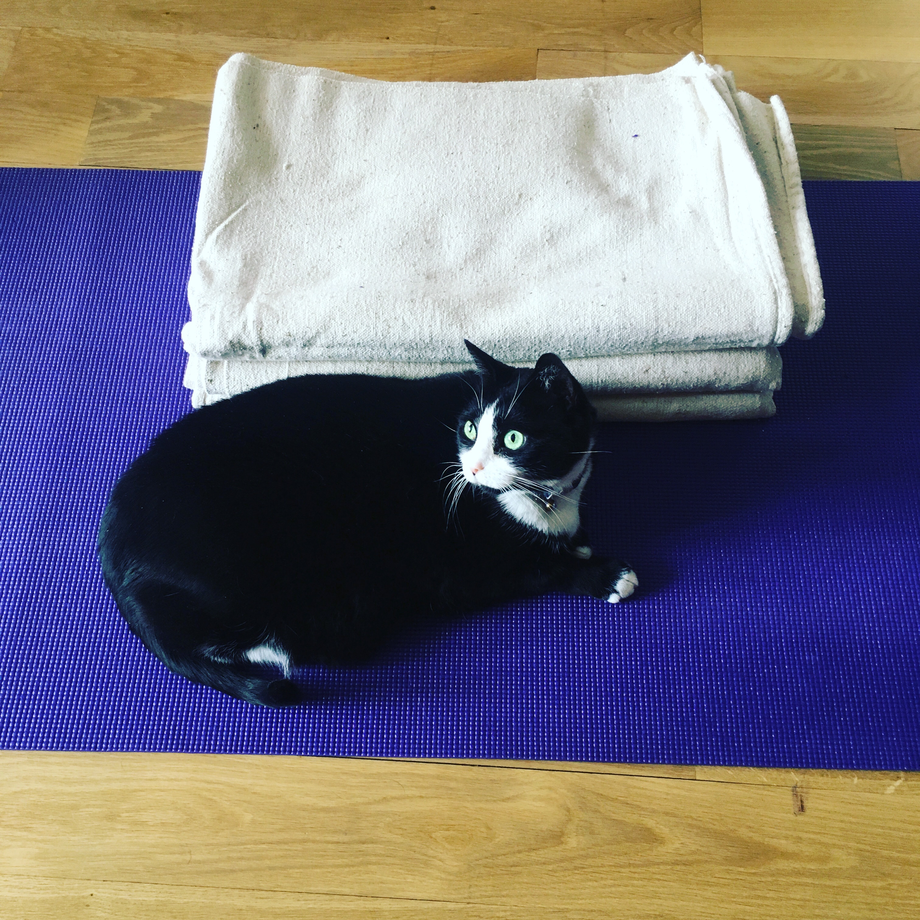 d209e0e2-e6ed-4136-968f-0fe197da0b02